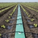 Irrigation layflat hose